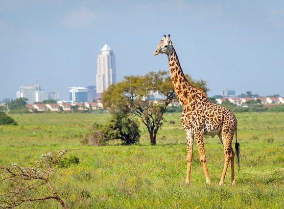 5 Unmissable Tourist Attractions In Kenya
